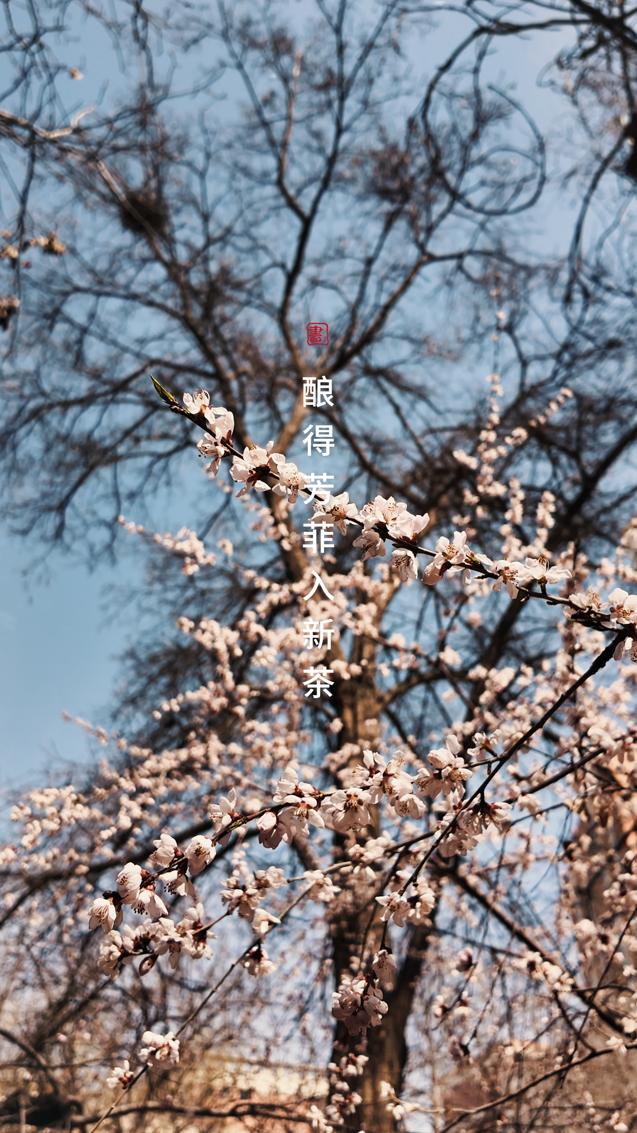 ʫУһĶһƬʱ